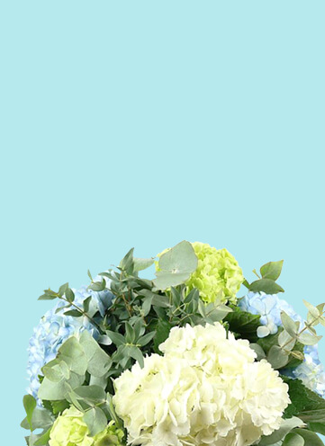 Same day Flowers Barkingside